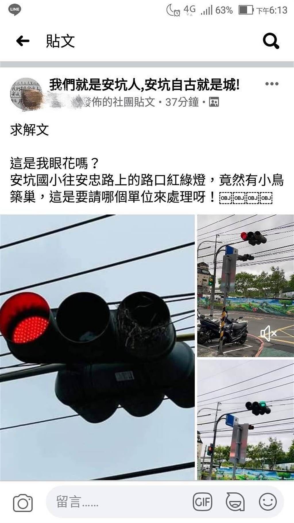 日前有民眾在臉書地方社團反映，安坑國小往安忠路上的路口紅綠燈，竟有小鳥築出30公分的巢穴。。（新北市交通局提供）