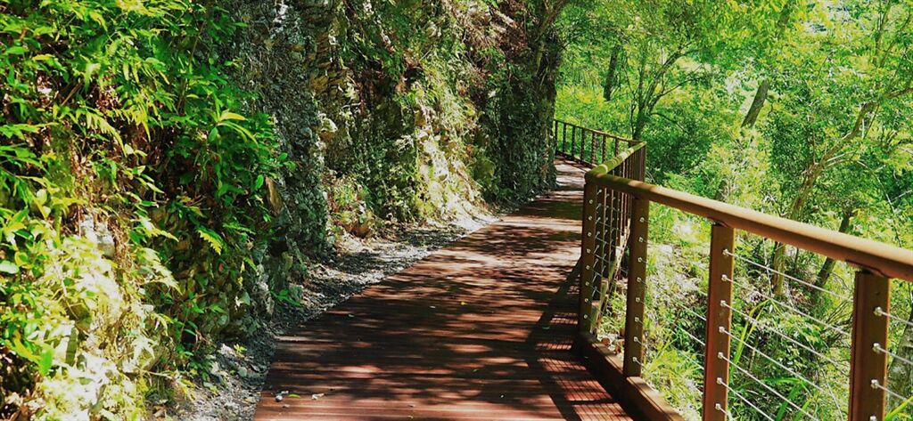 八仙山國家森林遊樂區綠色走廊為遊客晴天乘涼、雨天遮雨之休憩絕佳地點。。（東勢林管處提供／王文吉台中傳真）