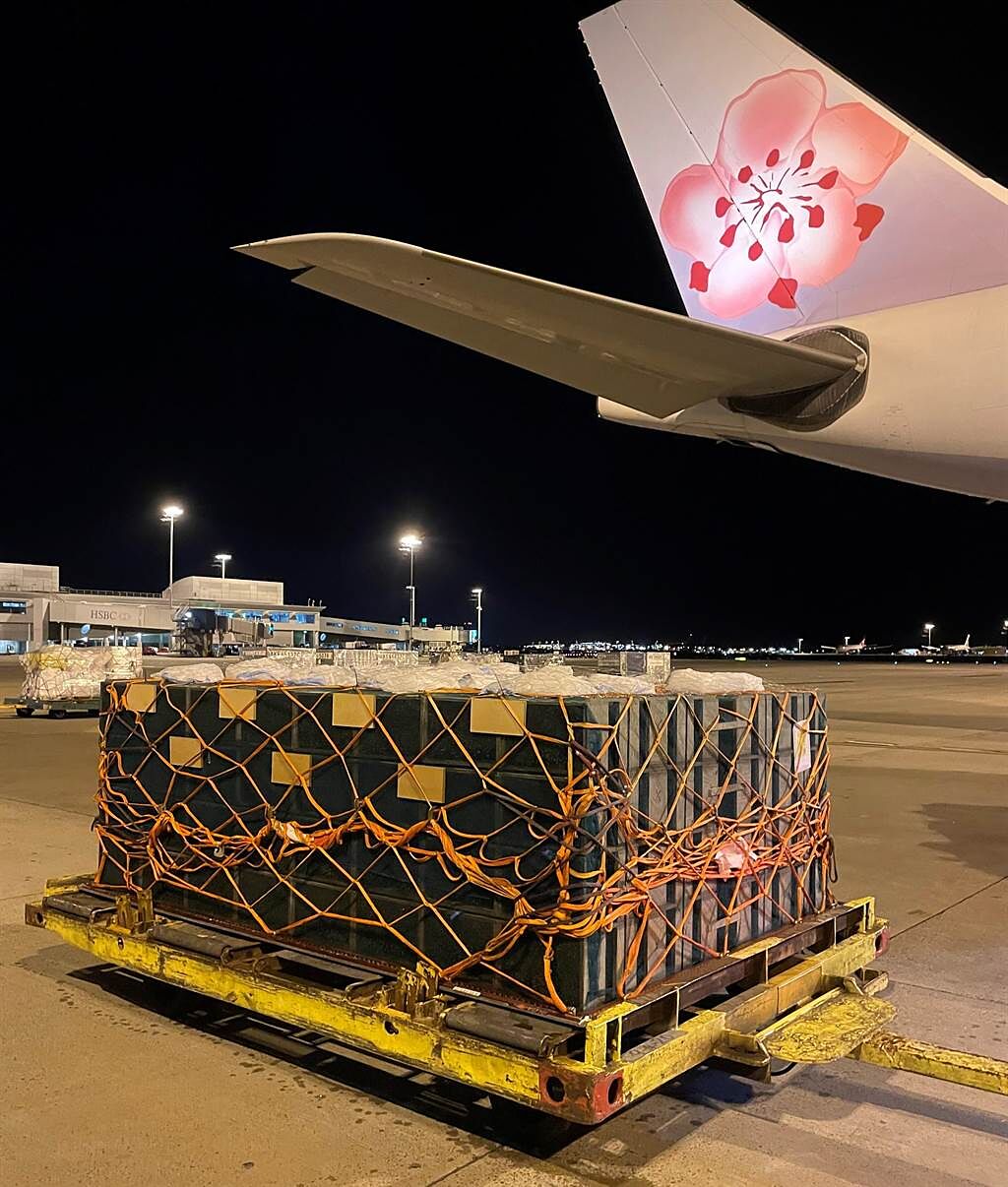 華航近日承接了特殊貨運任務載送活體蜜蜂從南半球飛北半球。(華航提供)
