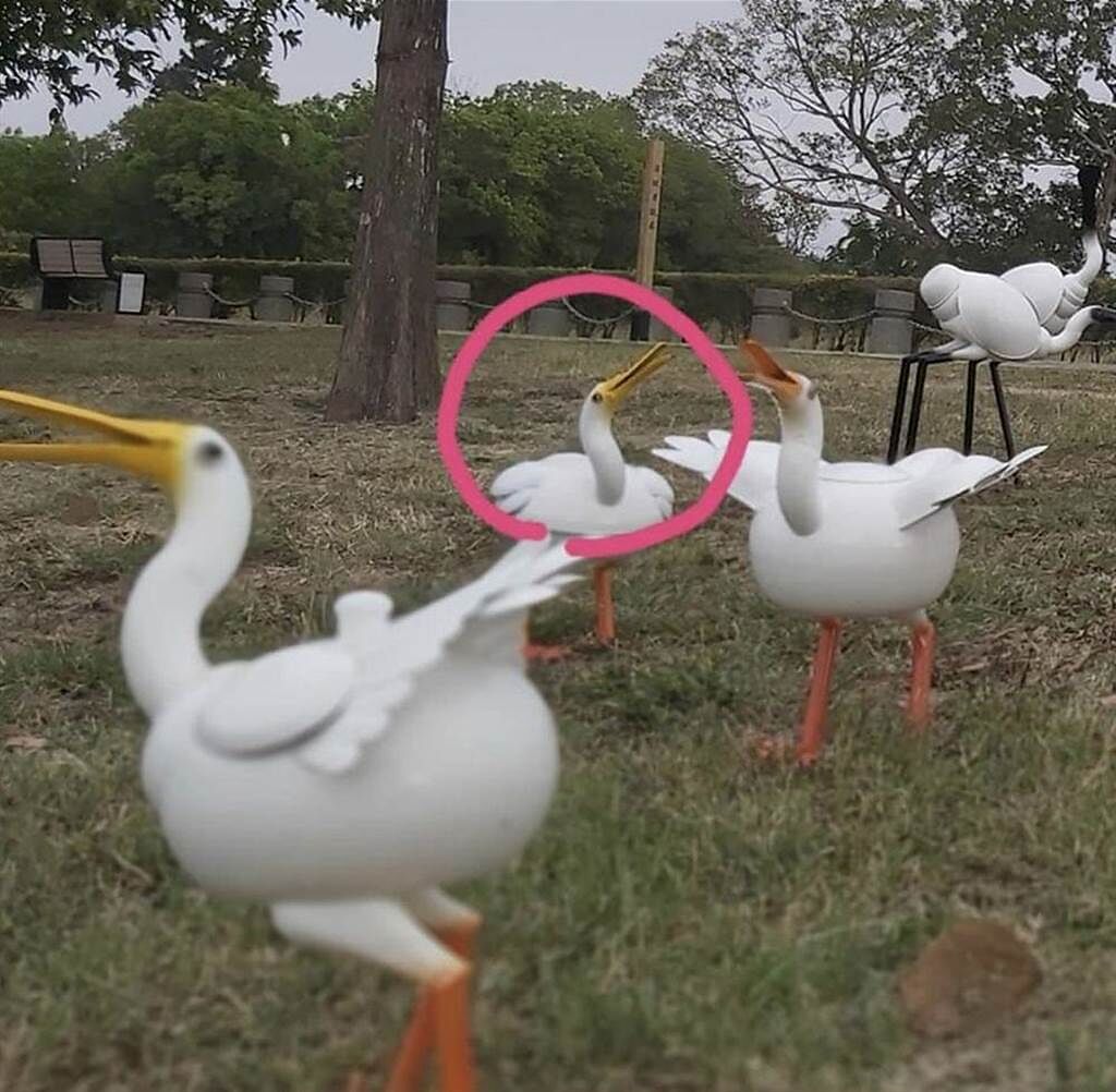 賴銘傳創作的鴨系列作品在北香湖展出，其中茶壺鴨「失蹤」三天後被找到了。（讀者提供）