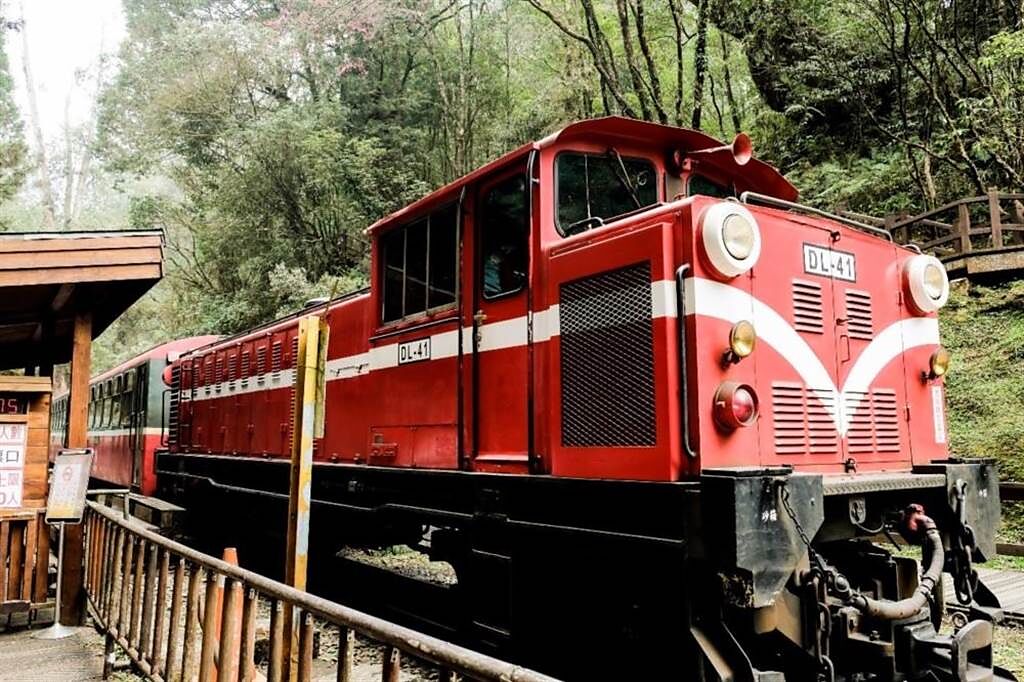 雄獅旅遊推出阿里山林業鐵路的特色遊程，遊客可搭乘阿里山小火車遊覽山巒美景。（雄獅旅遊提供）
