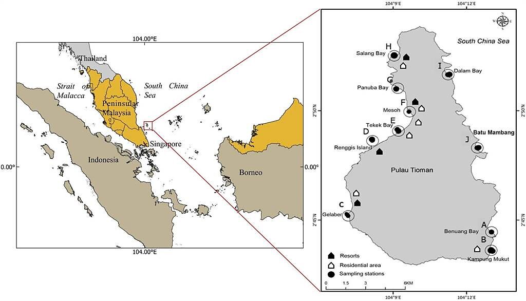 海大助理研究員潘惠娟與馬來西亞登嘉樓大學地質研究團隊於南海南部馬來西亞東岸，以「刁曼島」進行生態調查。（國立台灣海洋提供／陳彩玲基隆傳真）