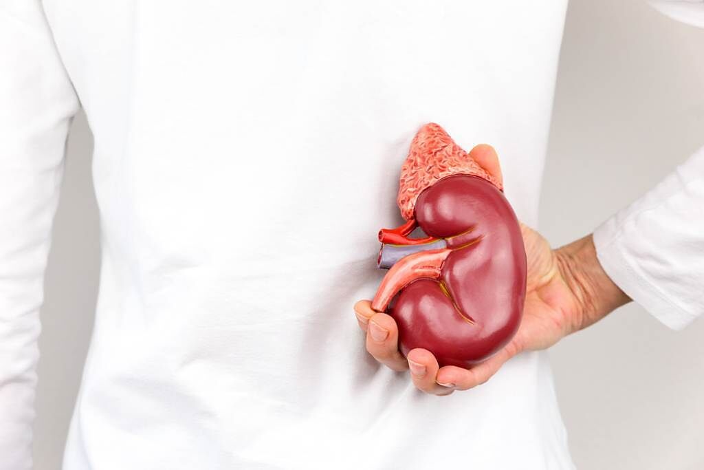 高血壓、血尿又腎結石，當心多囊腎作祟恐洗腎，必知護腎大法。(示意圖/Shutterstock)
