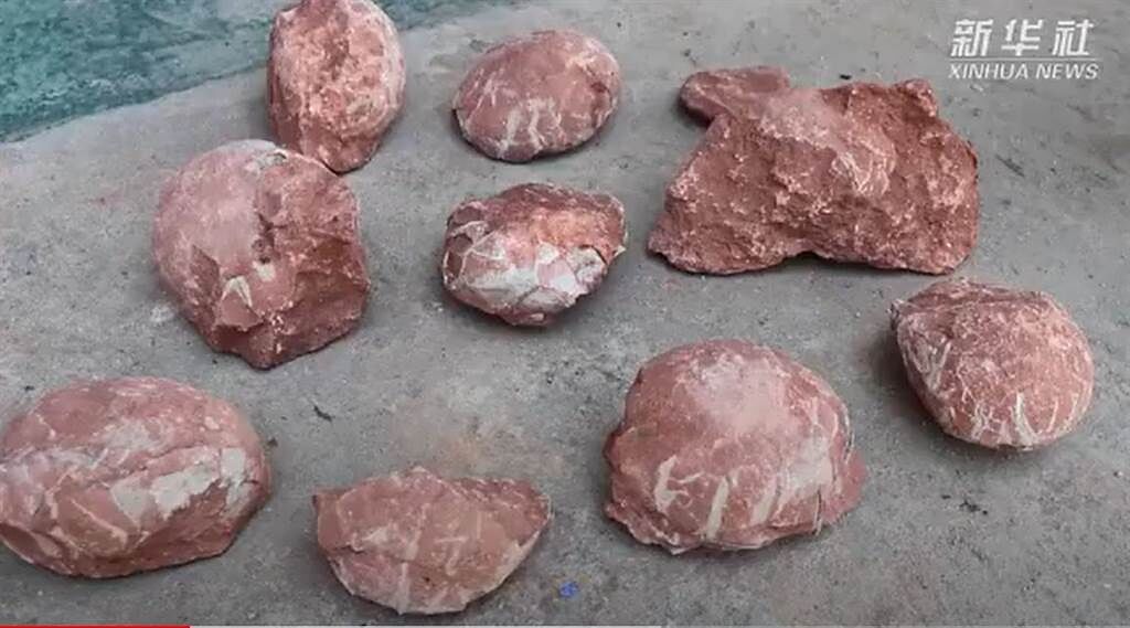 工人在進行道路施工時，意外挖到10顆恐龍蛋化石，外型看起來像「牛肉塊」，在網路上引發討論。(圖翻攝自/新華網)