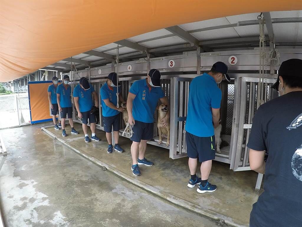 朱孝天前往新竹監獄拍攝犬訓班。（NNY Network提供）