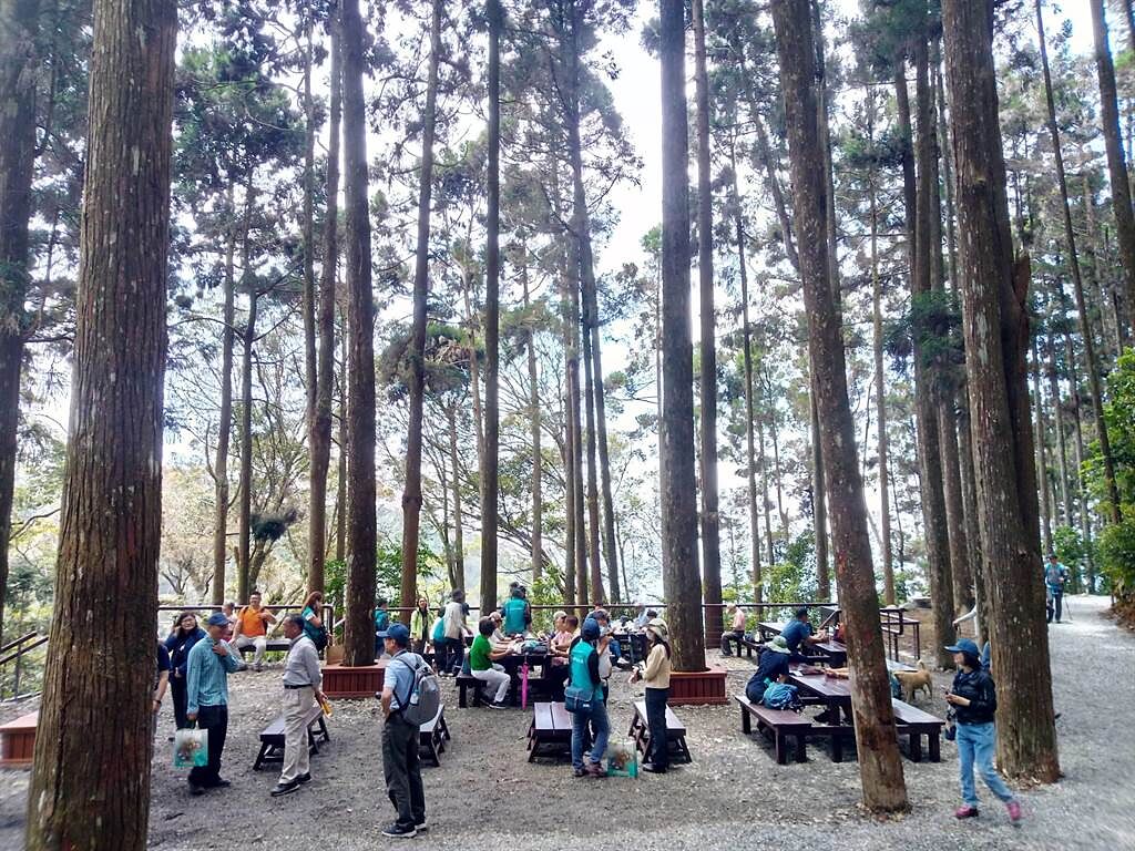遊客在藤枝國家森林遊樂區林下愜意的休息，享受森林浴。（林雅惠攝）