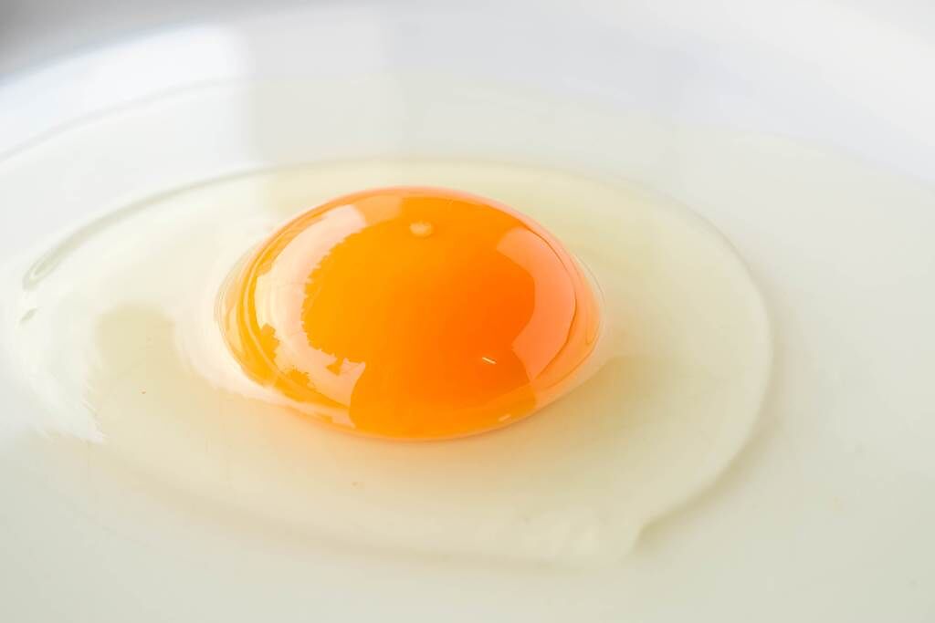 國外一名女網友日前在煎鍋上打了一顆蛋，沒想到蛋黃的左下角處卻生長出一個胚胎，把她嚇傻了。（示意圖／達志影像）