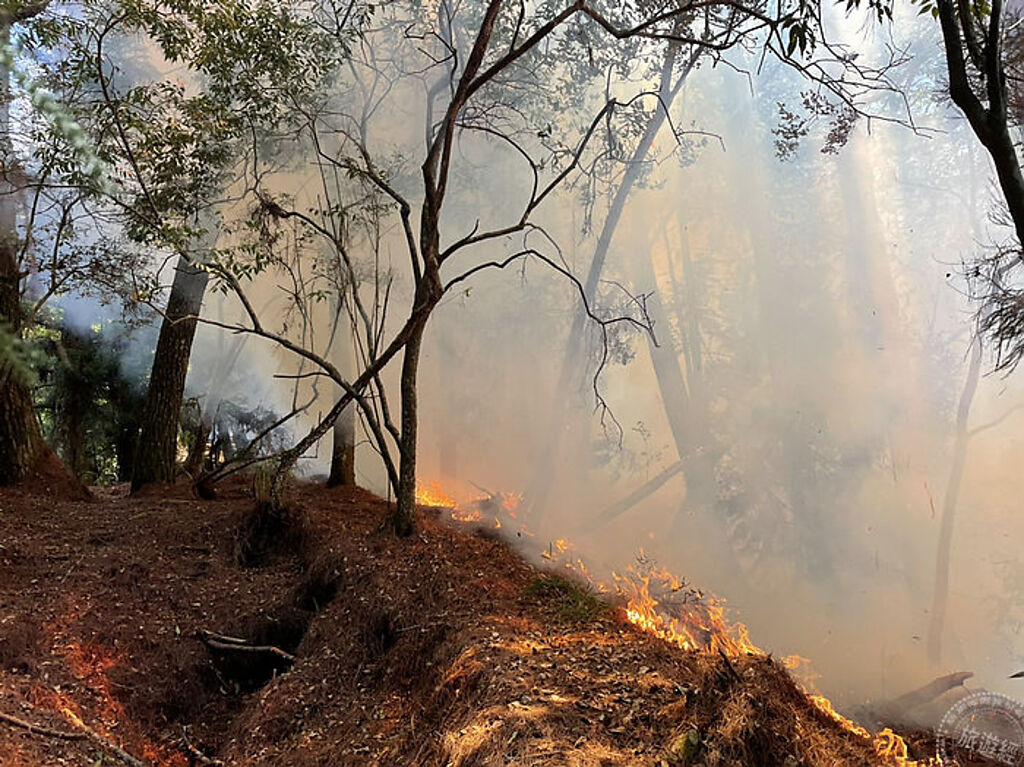 馬崙山傳出森林火災  