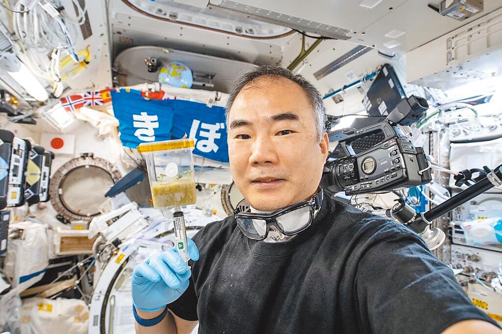 日本太空人野口聰一為羅勒補充營養液。（國家太空中心提供/李侑珊台北傳真）