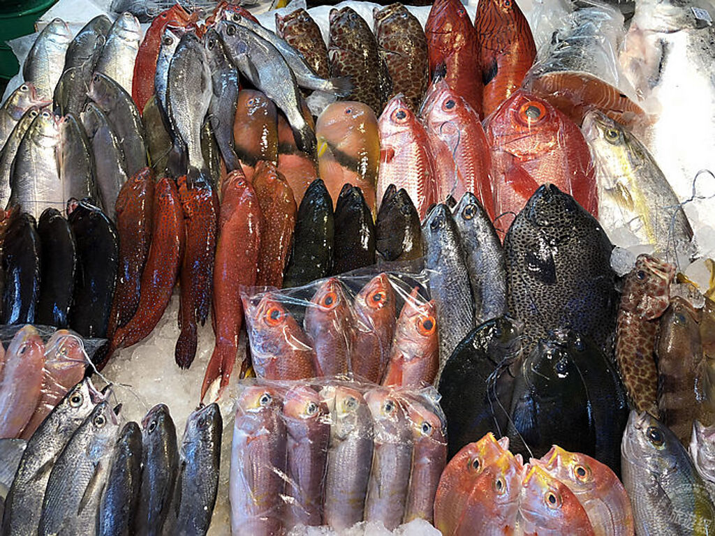 新北魚貨新鮮多元任您選購(圖片：新北市漁業及漁港事業管理處提供)