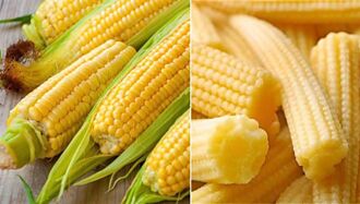 玉米筍長大就是玉米？營養價值大有差異