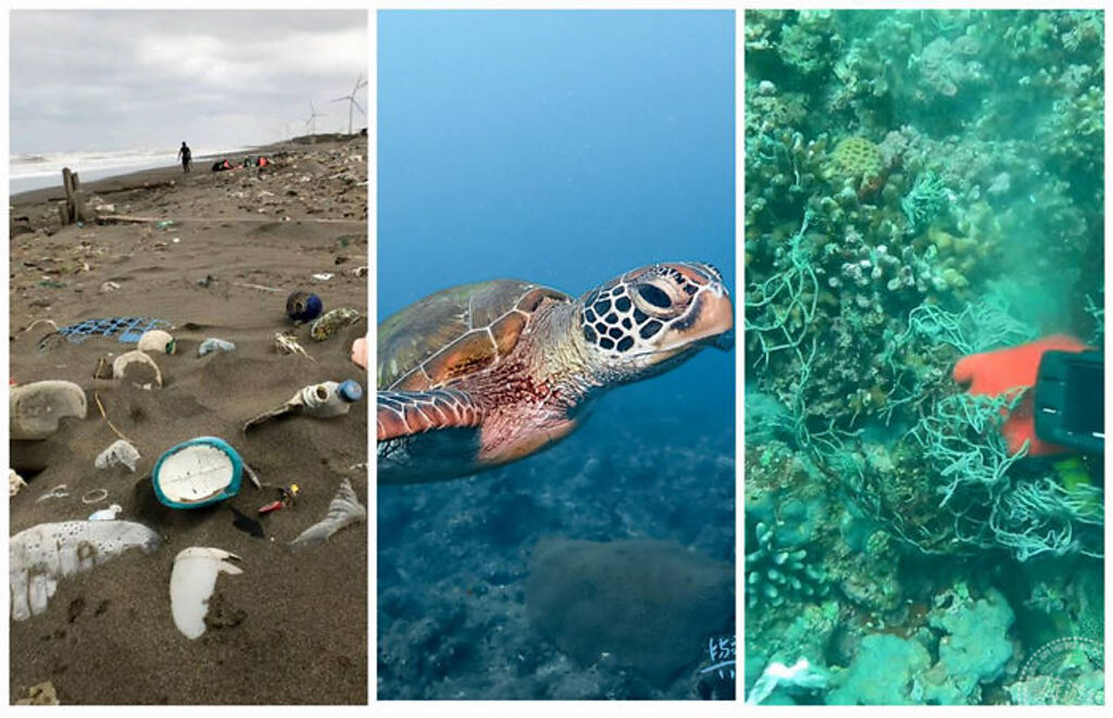 （左）桃園觀音的海灘垃圾景象，令人觸目驚心（圖片提供：海湧工作室）；（中)海龜（圖片提供：台灣潛水）；（右）清除附近礁區的海底覆網(圖：新北市政府漁業處提供)