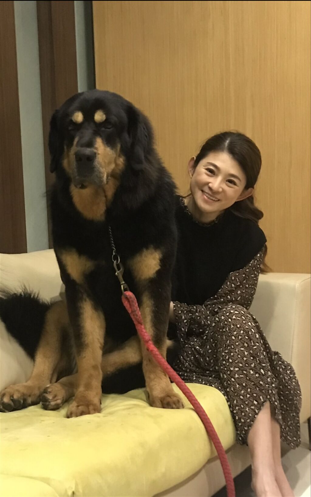 蘇宗怡居家防疫都與愛犬Coco膩在一起。（TVBS提供）