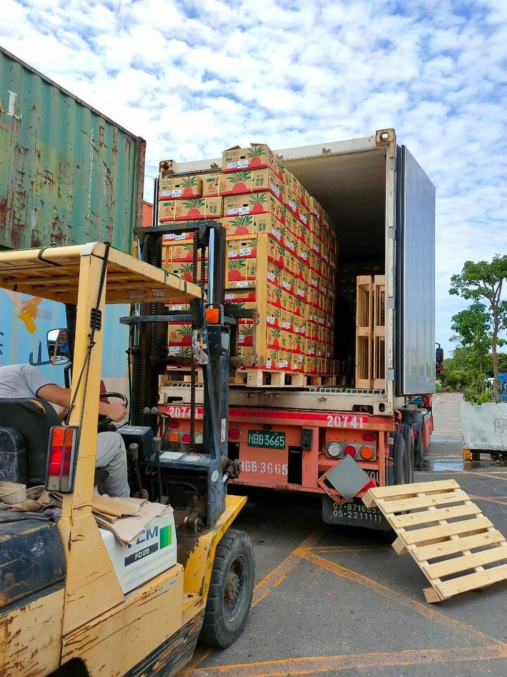 打貓合作社9日出口6.72公噸的鳳梨到日本沖繩。（嘉縣政府提供／張亦惠嘉縣傳真）