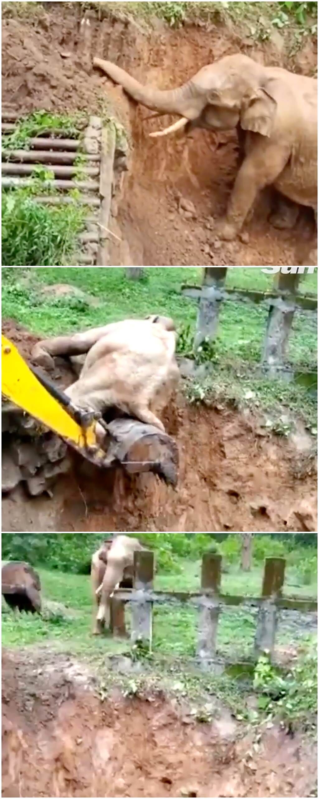摔入泥坑的大象疑似知道救難人員在幫助牠，獲救後竟回頭道謝。（圖／twitter＠The Sun）
