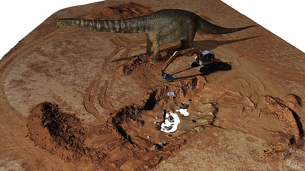 科學家在昆士蘭的埃羅曼加首次發現了恐龍-庫珀(圖片版權：Eromanga Natural History Museum)