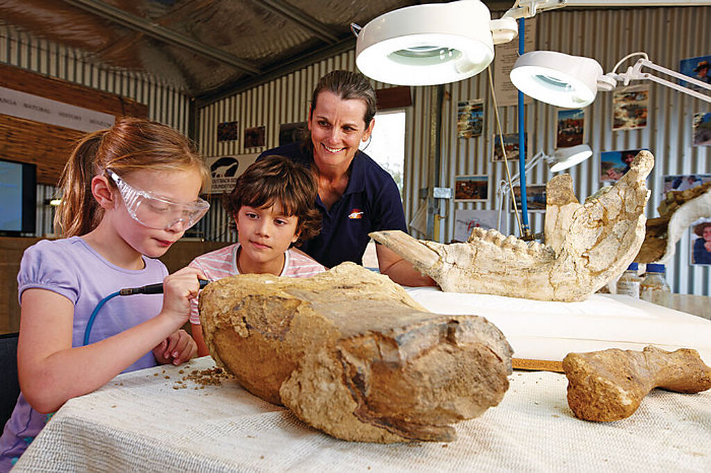 埃羅曼加自然歷史博物館收藏著恐龍新物種及澳洲最大恐龍的化石(圖片：昆士蘭旅遊及活動推廣局提供)