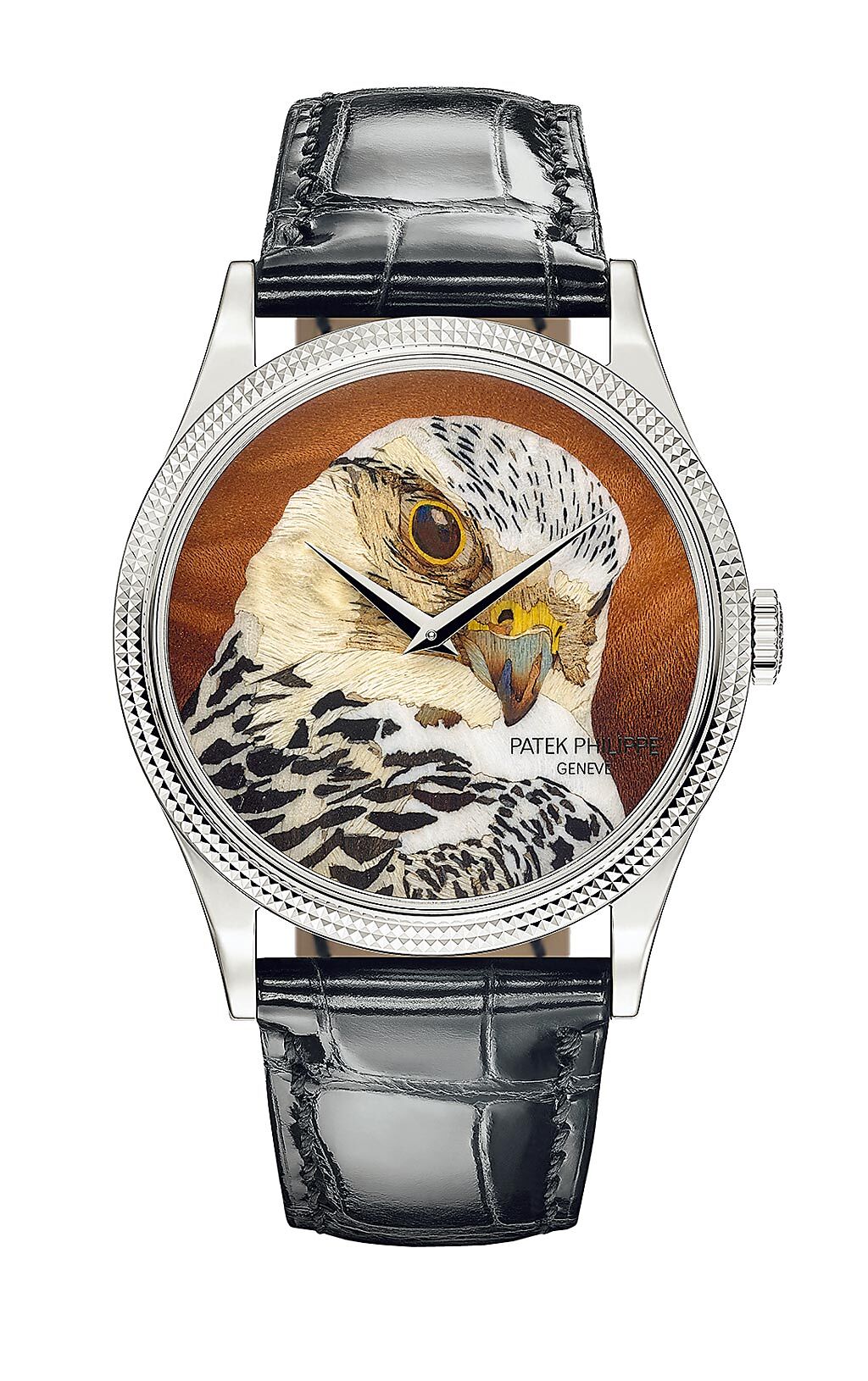 百達翡麗融入細木鑲嵌工藝的「獵鷹」腕表，是以168片木片和200片鑲片組成，敏銳霸氣的眼睛最是傳神。（Patek Philippe提供）