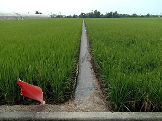台南3大水庫水量仍少於去年同期 二期稻作是否供灌23日決定