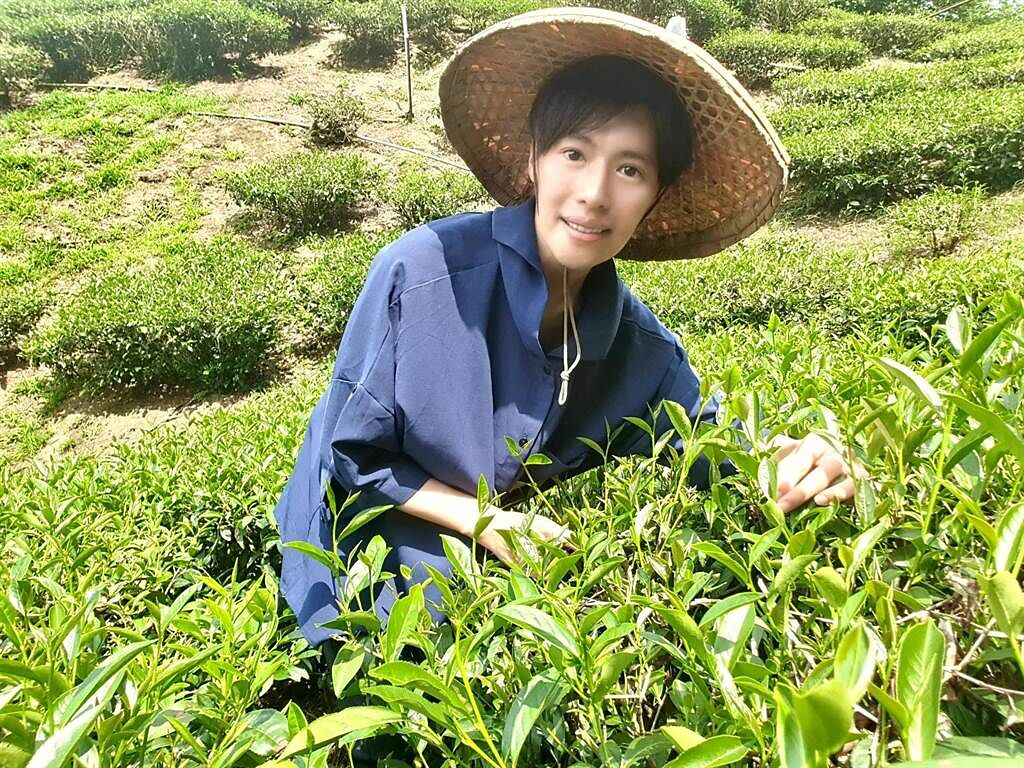 林語菲化身小農，幫忙家中採收茶葉、咖啡。（菲常動人音樂提供）