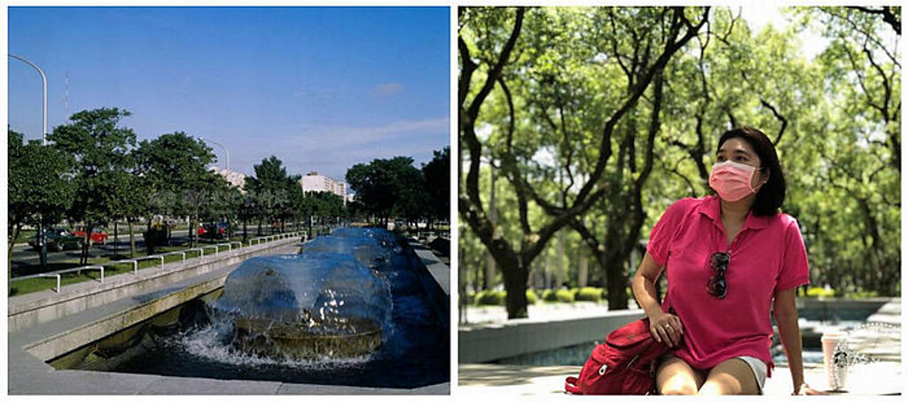 (左)1980年的仁愛路中央分隔島，有成排路樹及噴水池，宛如小型公園(照片來源：國家文化資料庫)；(右)仁愛路三段噴水池現況樹蔭(圖：臺北市政府工務局提供)