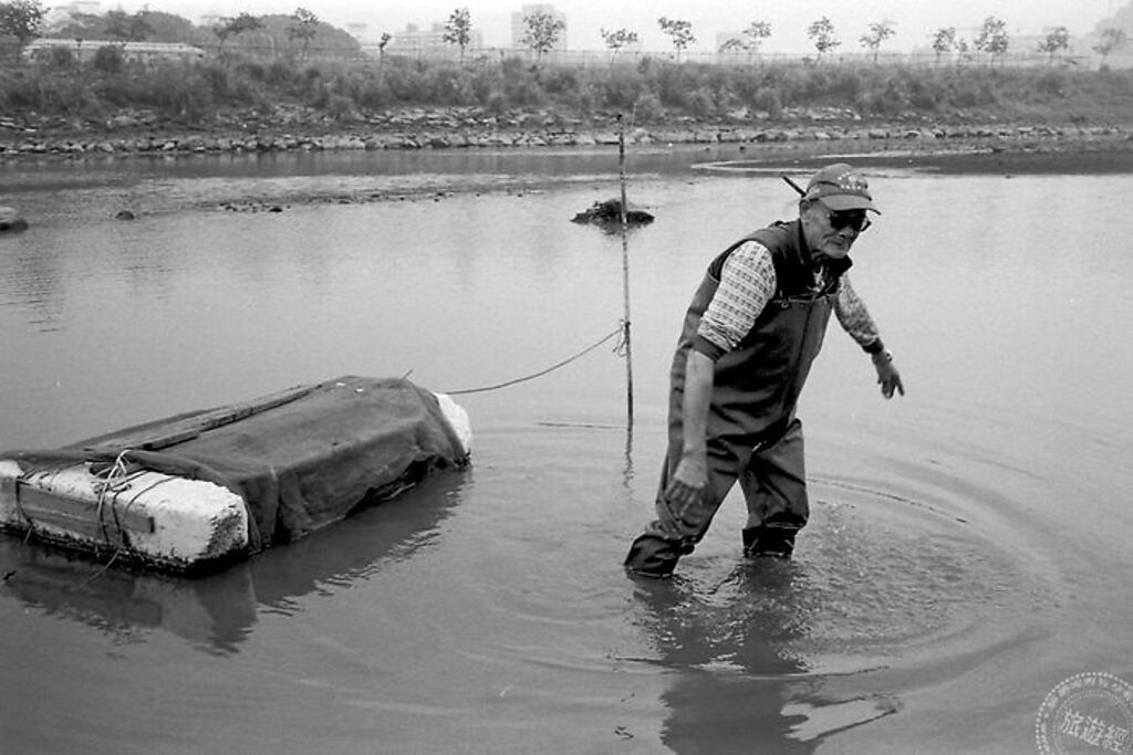 許文雄先生沿岸徒步漁作照片(圖：淡水區漁會提供)