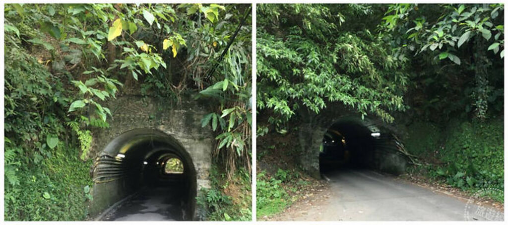 廣興-小坑台車隧道(圖：烏來林業生活館提供) 