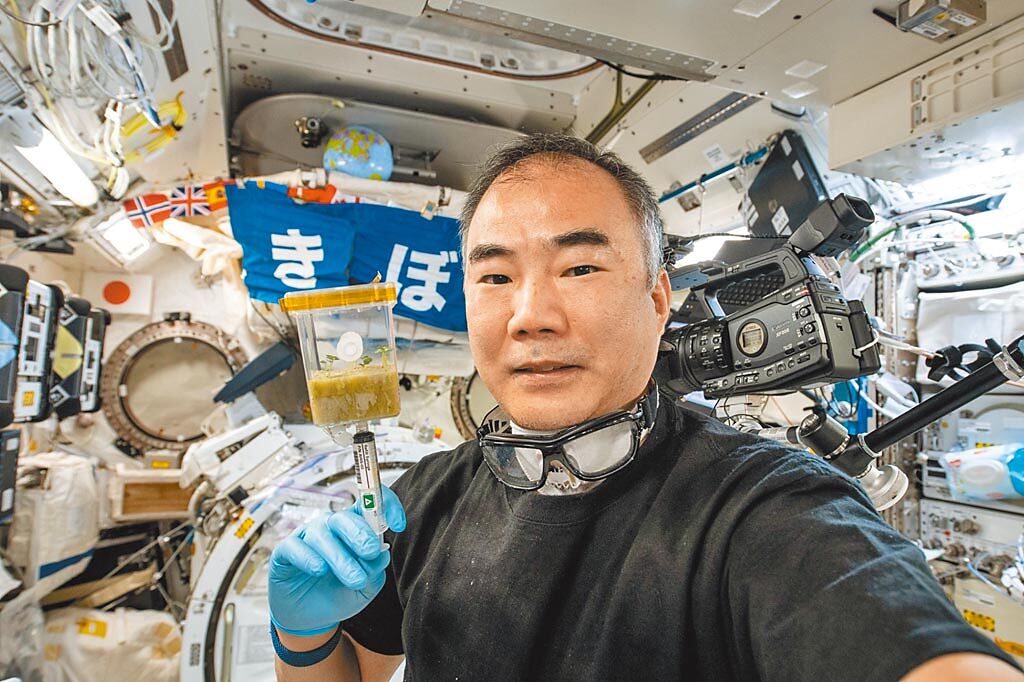 日本太空人野口聰一在太空栽種羅勒，他正在為羅勒補充營養液。（國家太空中心提供／林志成台北傳真）