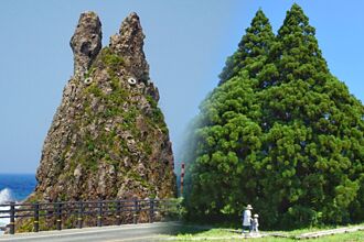 日本蒐奇！石頭和大樹居然長得像龍貓？