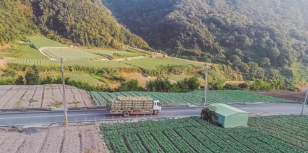 台北農產運銷公司長期與台灣在地農場合作，疫情期間確保了蔬果供應的數量與品質。（圖／台北農產運銷股份有限公司）