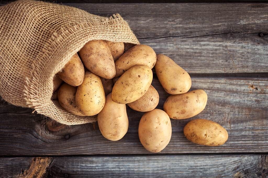 馬鈴薯、地瓜發芽還能吃嗎？ 專家：這種發芽有劇毒。(示意圖/Shutterstock)