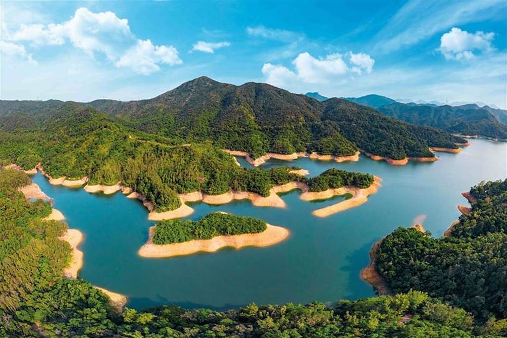 香港旅遊局推出「雲旅遊」，以 ASMR影片讓旅人沈浸城門水塘的白千層樹林。（圖／香港旅遊局提供）