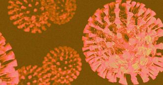 美國研究指出：新冠病毒早在2019年12月就已在美國出現