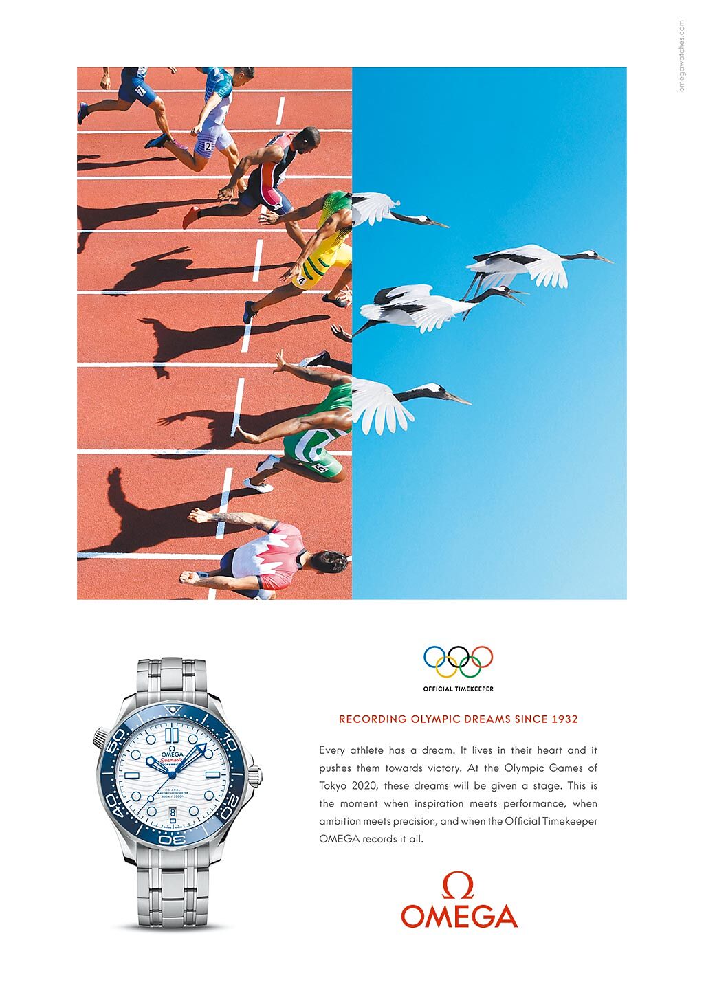OMEGA奧運形象廣告中，選手昂首奔向終點的英姿，有如成群起飛的日本丹頂鶴。（OMEGA提供）