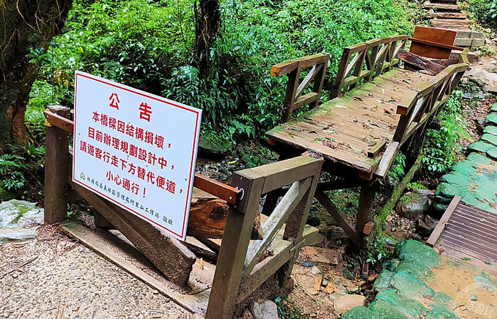 步道內結構損毀的木造橋樑已暫時封閉(圖/林務局嘉義林區管理處 提供)