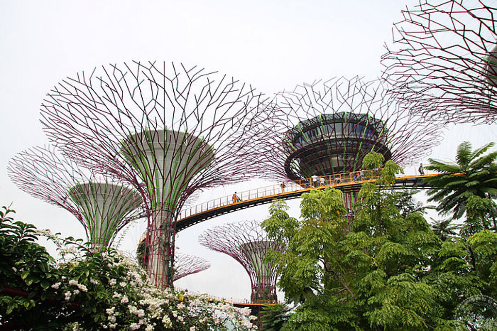 新加坡濱海灣花園(攝影：洪書瑱)