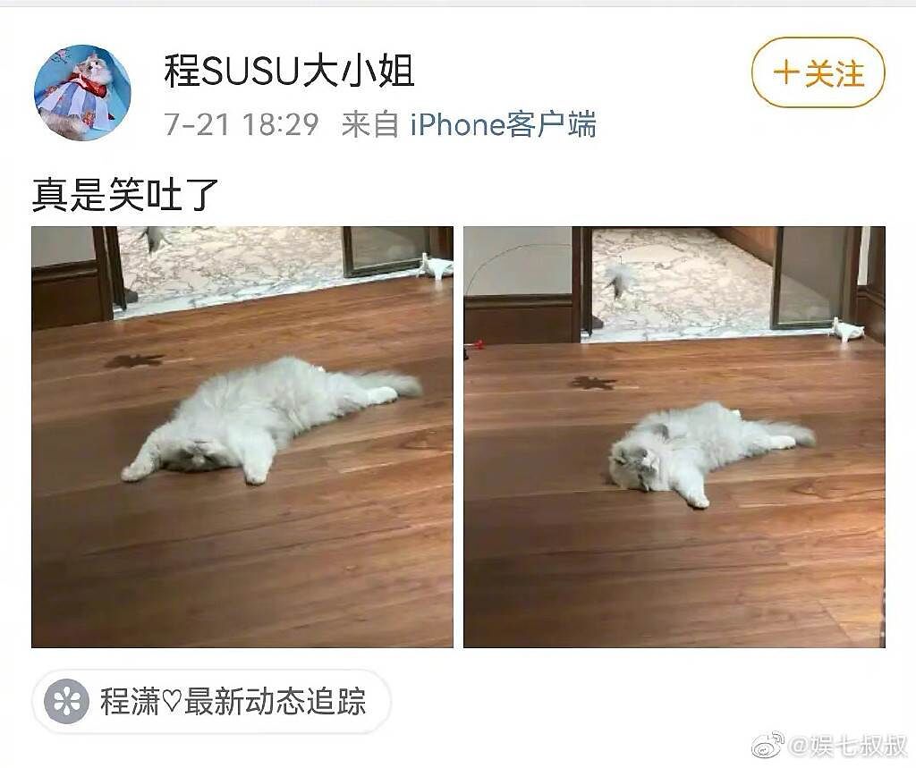 程瀟小號發文惹議，但有網友說明是小號先發文，只是在笑其貓睡姿。（圖／翻攝自）