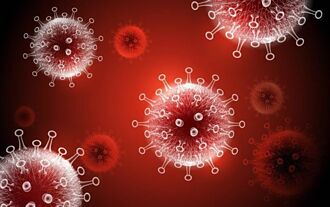 抗疫新藥傳佳音 本土抗生素抑制新冠病毒有效率近100％