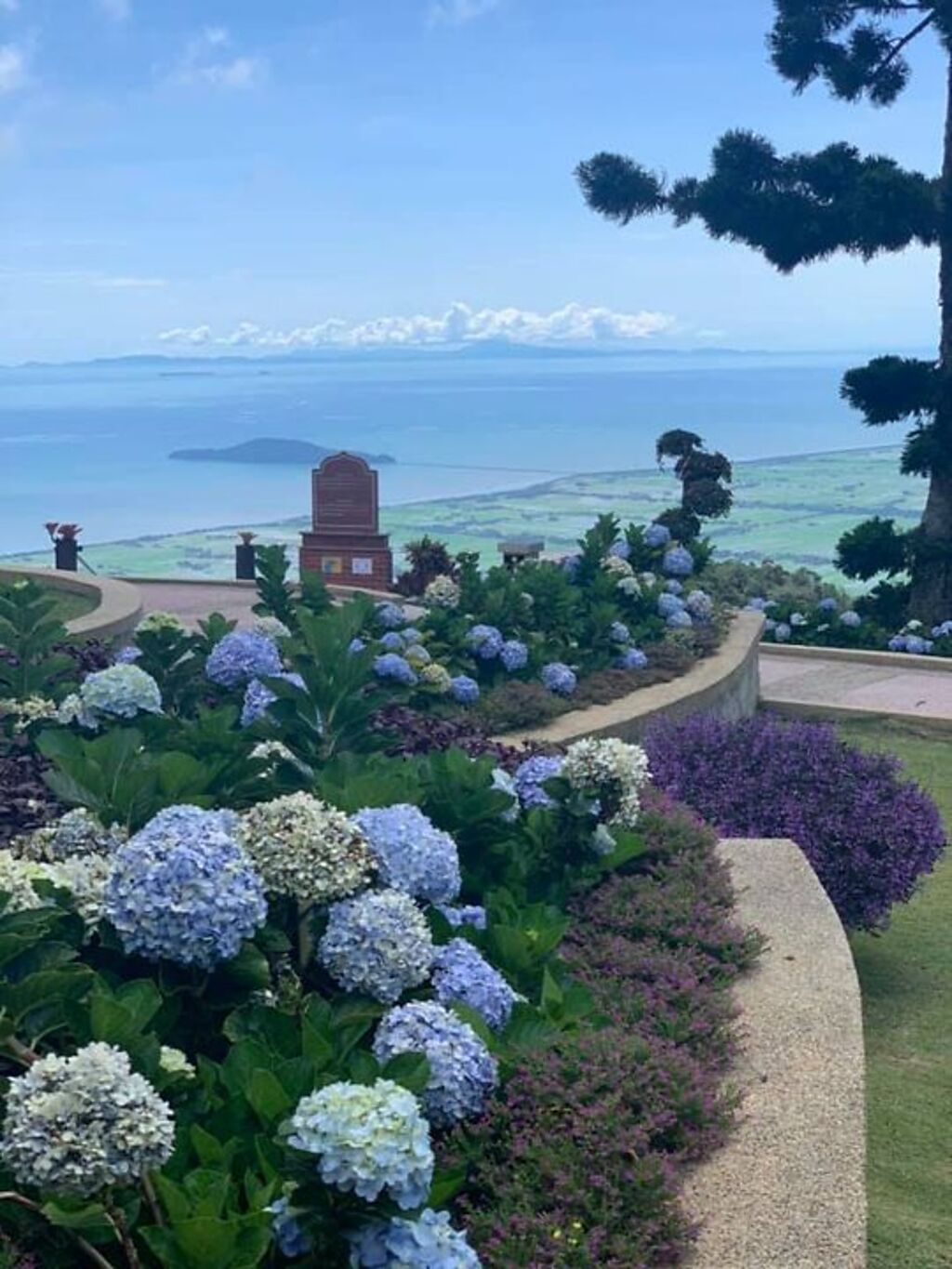 ▲日萊山度假村（Jerai Hill Resort）美麗的繡球花。　圖：日萊山度假村FB╱來源