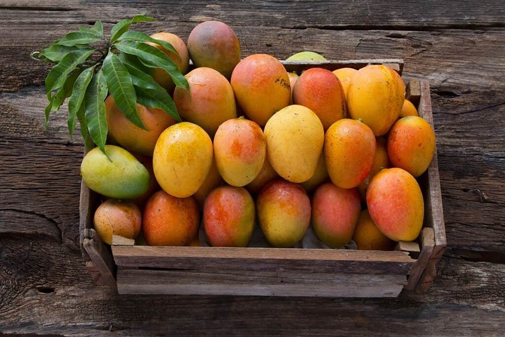 夏天正是吃芒果的季節，挑選時外觀是新鮮與否的重點。(示意圖/Shutterstock)