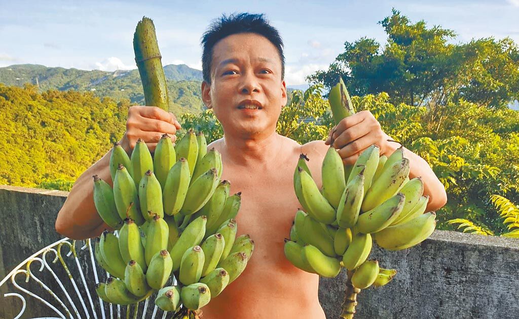 李康生近來揮汗採收芭蕉，享受田野生活。（摘自臉書）