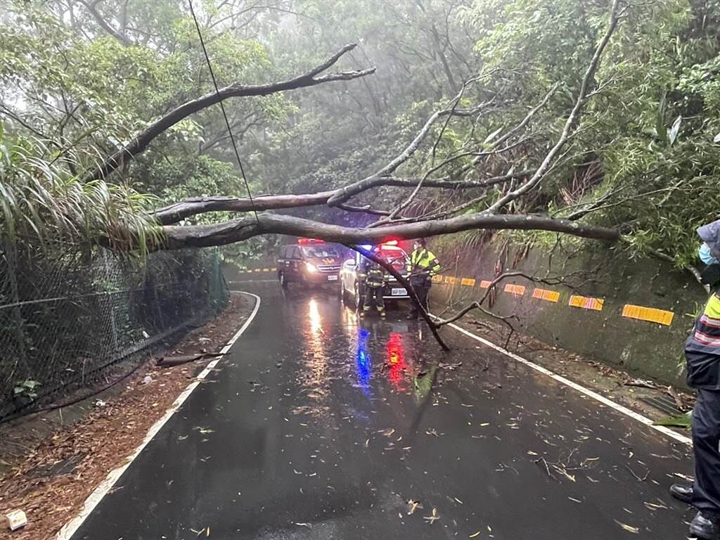 烟花颱風造成新北市多處路樹倒塌。（民眾提供）