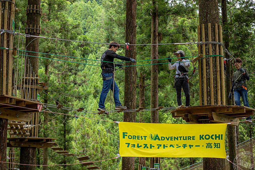Forest Adventure 冒險之森 高知」，活動中即可以體現高知縣雄偉的森林（圖片：高知縣國際觀光課提供）