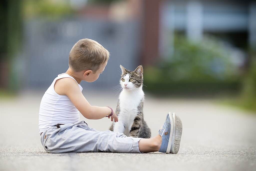 男童難過的坐在路邊，鄰居貓發現後，竟主動跑過來安慰他。(示意圖/達志影像)