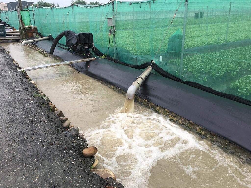 2日西南氣流豪大雨造成雲林縣農田淹水嚴重。（周麗蘭攝）