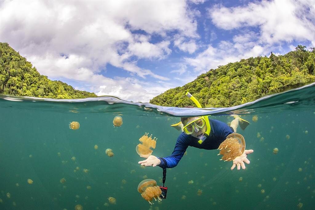 台灣與帛琉之間的旅遊泡泡可望重啟。圖為帛琉知名景點「水母湖」。（KKday提供／陳祐誠傳真）
