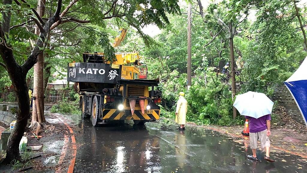熱帶低氣壓夾帶大雨來襲，台中市府持續加強路樹巡檢。（台中市政府提供）