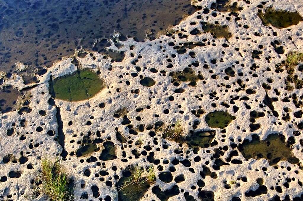 密密麻麻的壺穴，是月桃寮溪常見的特色地形。