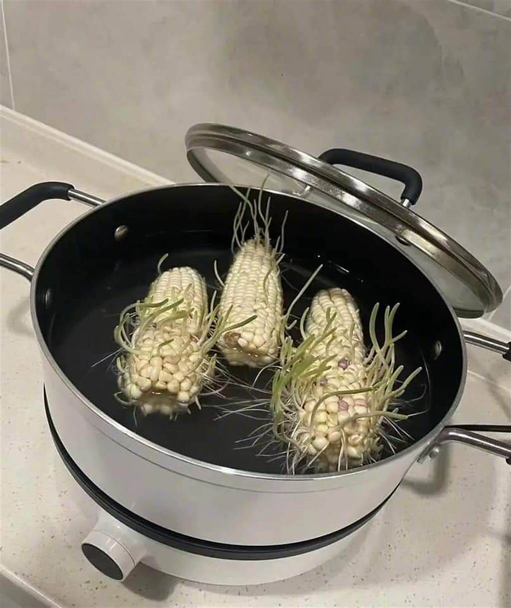 一名網友表示，他將玉米放入鍋中後，就因忙其他事而忘記，3天後查看驚見玉米竟發芽了。(圖翻攝自/爆廢公社)