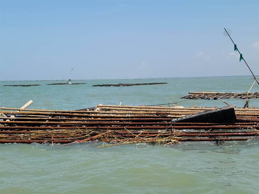 東石、布袋沿海養蚵產業遭盧碧颱風帶來的西南氣流重創，蚵農嘆損失慘重。（張建成提供／張亦惠嘉縣傳真）